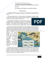 ZV - Práctica 04 - Anfibios, Morfologia Externa y Anatomia Interna