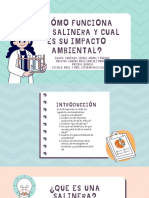 ¿Cómo Funciona Una Salinera y Cual Es Su Impacto Ambiental