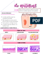 Tejido Epitelial