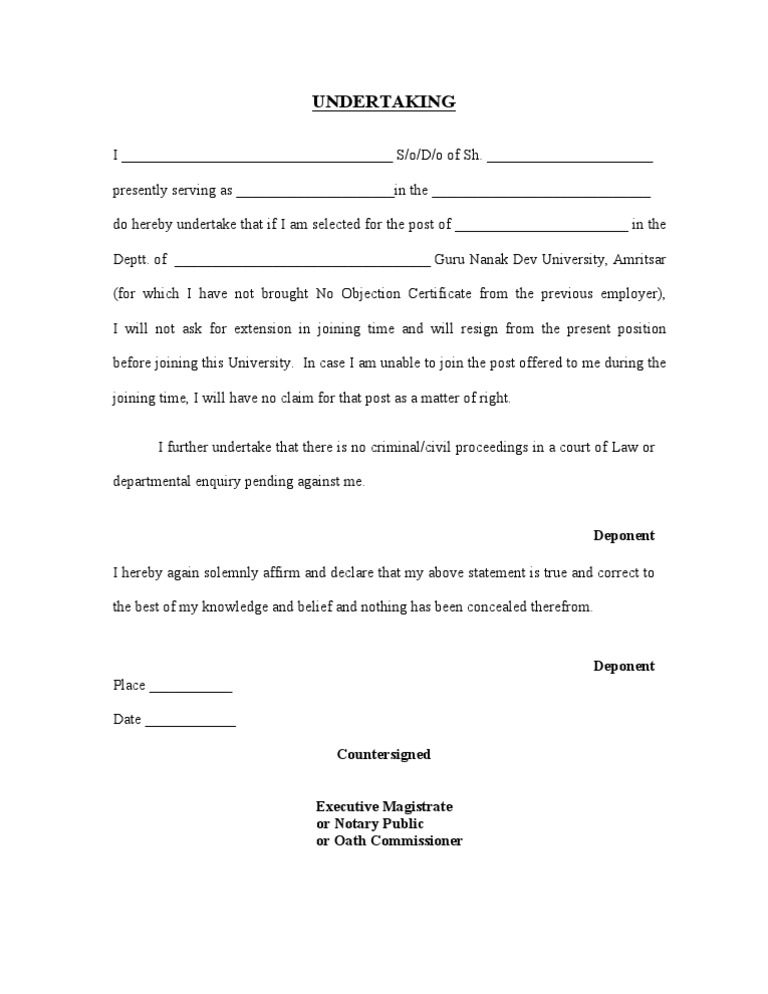 Undertaking | PDF