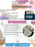 Escuela Profesional de Estomatologia: Universidad Andina Del Cusco