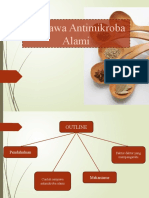 Antimikroba Dr. Nanang