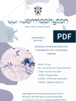 Epidermophyton