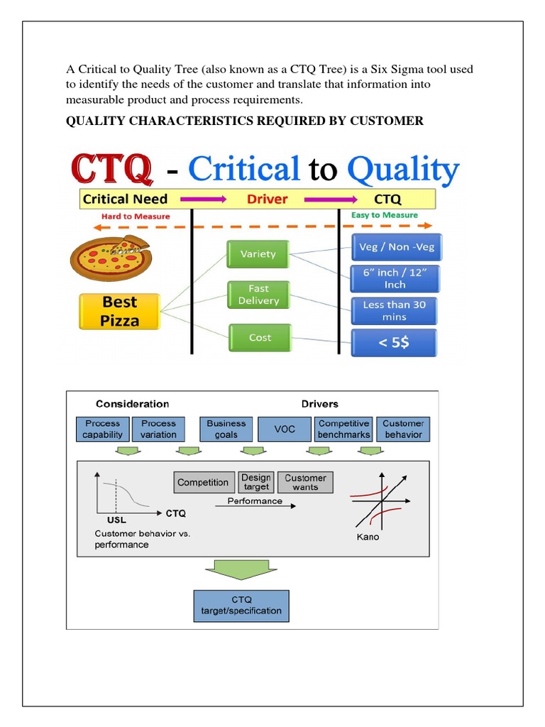 Quality Characteristics Required by Customer | PDF