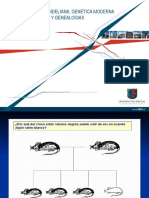 21.-Genetica Mendeliana