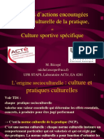 Champs D'actions Encouragées Norme Culturelle de La Pratique, Culture Sportive Spécifique