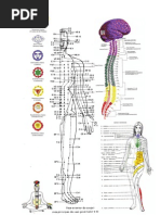 Acupuntura - Chakra