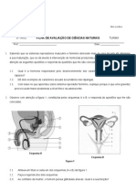 1º Teste 9ºano