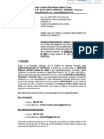 Desnaturaliz CLS, Vigilante MP. ORDINARIO-1-158