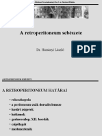 retroperitoneum_harsanyi_laszlo3578