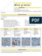 PÁNCREAS - Histología