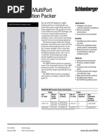 SLB Quantum Multiport Packer