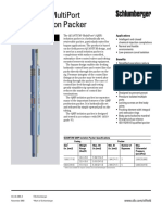 SLB Quantum Multiport Packer