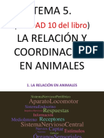 t5. - La Relación y Coordinación en Animales