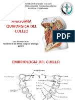 Anatomia Quirurgica Del Cuello