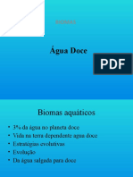 Bioma Água Doce