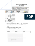 4 5 Naturales Examen 2023