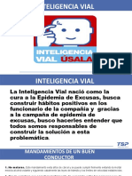 Inteligencia Vial