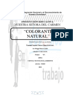 Colorante Natural1
