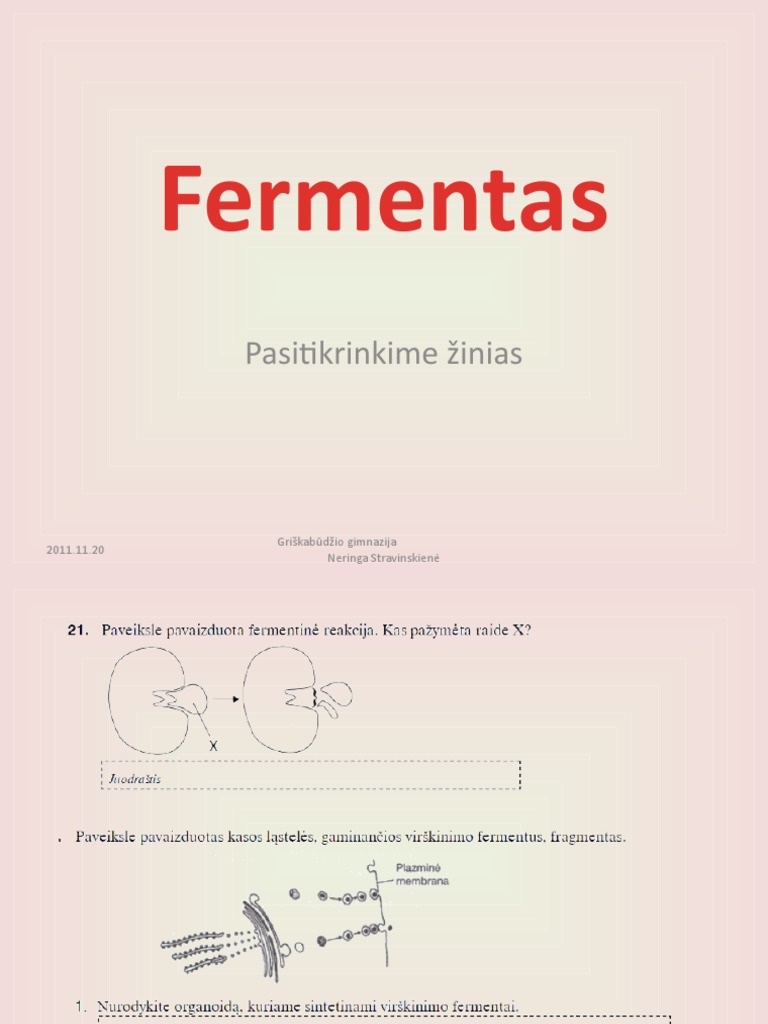 Ferment Pakartojimas | PDF