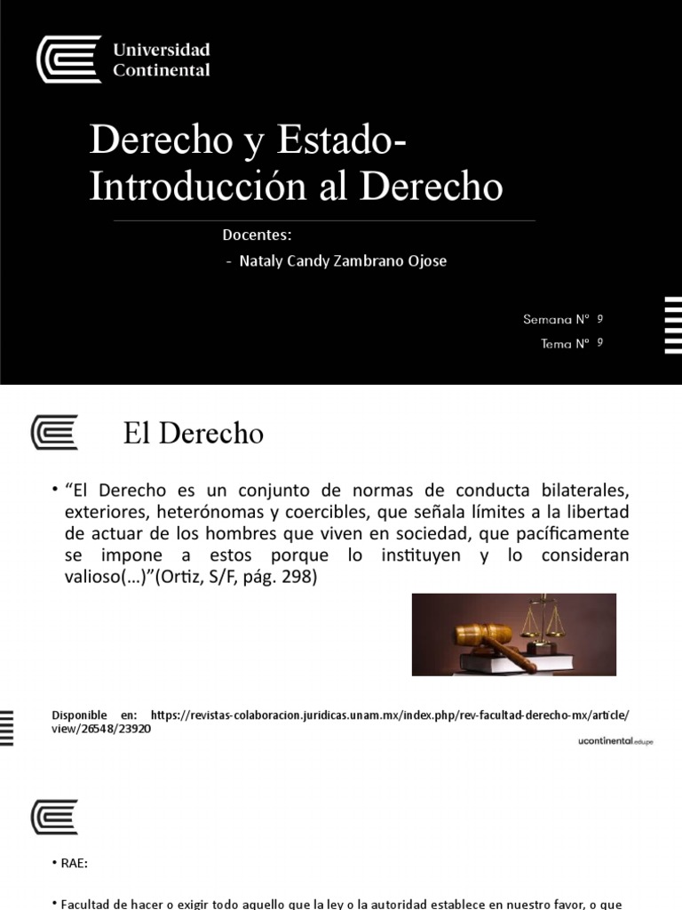 Conceptos Fundamentales del Derecho | PDF | Justicia | Crimen y violencia