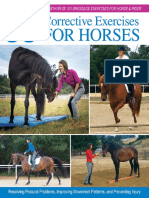 55 Corrective Exercises For Horses, Resolving Postural Problems, Improving Movement Patterns, and Preventing Injury