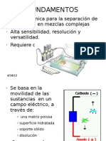 Exp Electroforesis Fundamentos