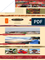 PDF. Página Web. Susu