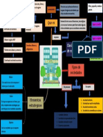 Mapa Mental Legalizacion de Empresa Paulo Rayo