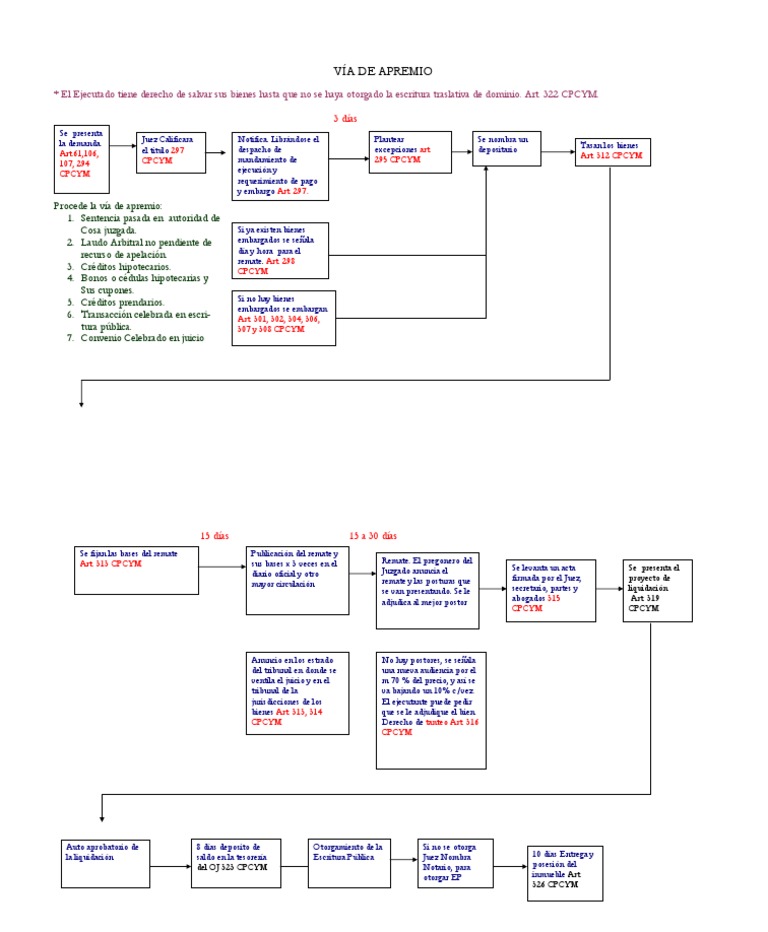 JUICIO EJECUTIVO EN LA VÍA DE APREMIO ESQUEMA PDF Formas de