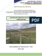 Informe de Estudio Hidraulico Fluvial