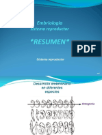 Embriología Sistema Reprductor Masc.y Fem.