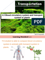 3.5 Blood Circulatory System and Transport System