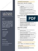 Luis Fernando Gabino Curriculum 2