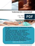 Valoracion Del RN