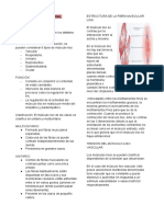 Resumen M Liso Arterial y Práctico de VD