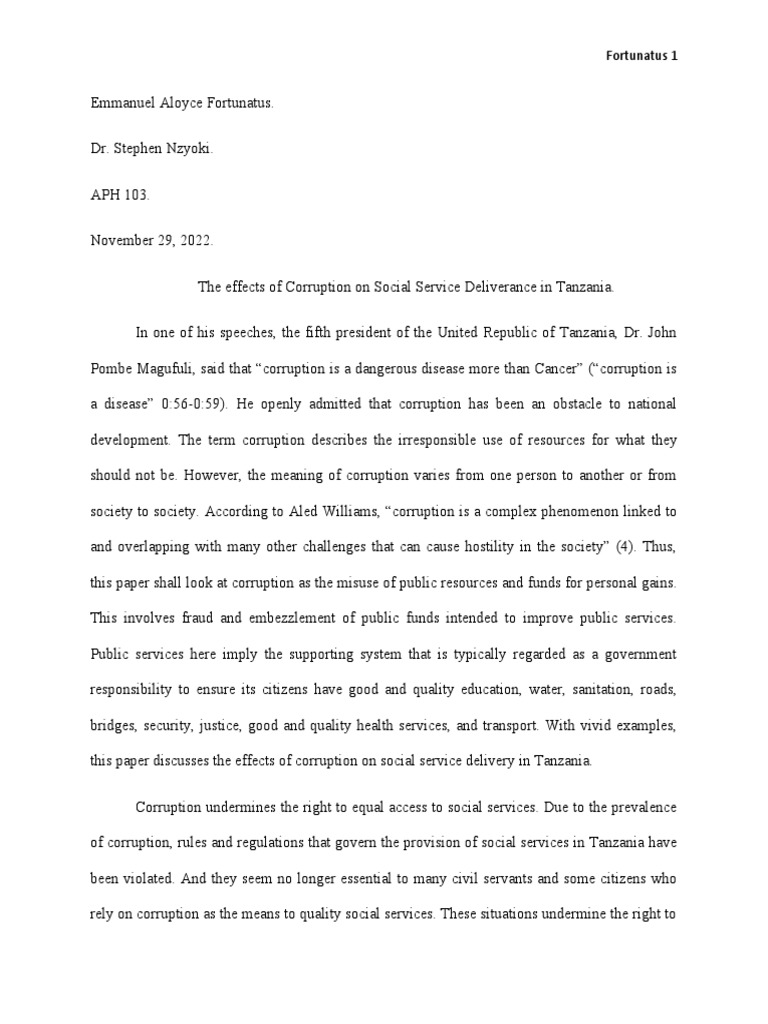 Corruption's Impact on Tanzania's Services PDF Political Corruption