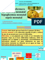 Cuidado Enf. en Ictericia Neonatal-Hipoglicemia - Espec Ii - Wiener