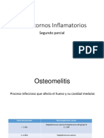 Neuro L Parte 3