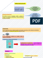 5-Operacionalización, Dimensiones