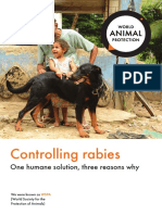 Controlling Rabies-One Humane Solution