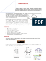 1.CARBOHIDRATOS X Luz