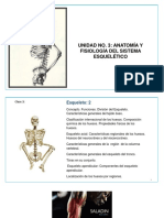 Clase 3 Morfofisiología Esqueleto