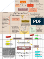 Control Local y Humoral Del Flujo Sanguíneo