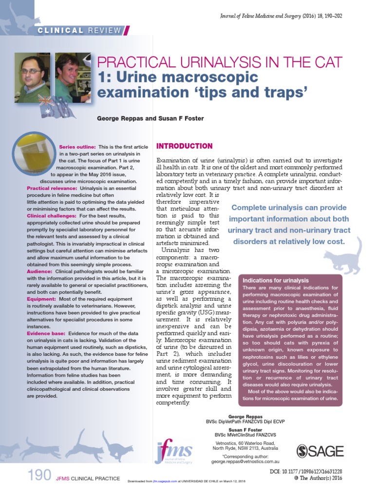2016practical Urinalysis in The Cat 1 PDF Urine Urinary Tract