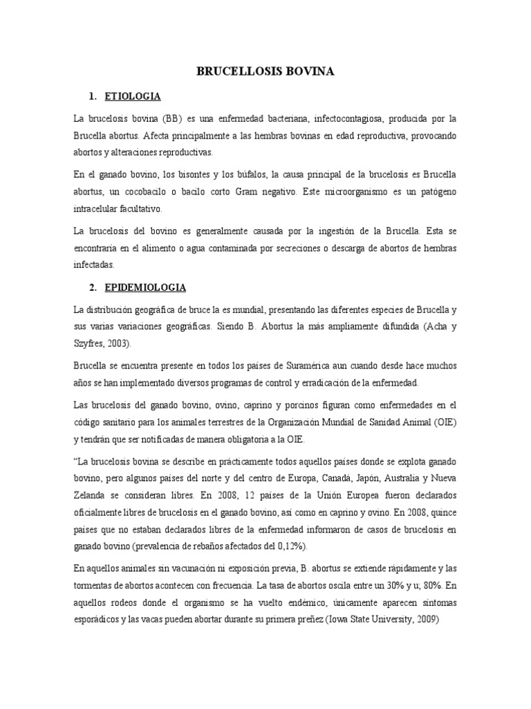 Brucella Abortus Positivo 140