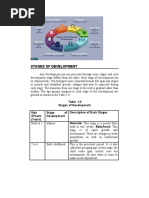 Stages of Development