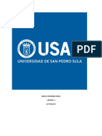 Ensayo Instituto Hondureno de La Seguridad Social