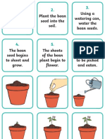 How To Plant A Bean Sequencing Cards