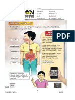P3 Digestive System